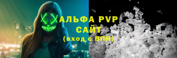 ГАЛЛЮЦИНОГЕННЫЕ ГРИБЫ Елабуга