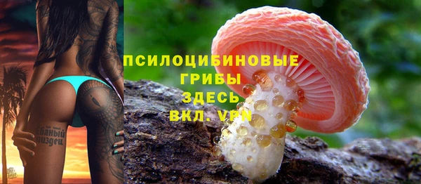 спиды Елизово