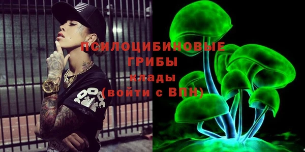 спиды Елизово