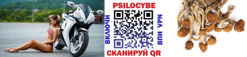 Купить закладки  Заполярный  Галлюциногенные грибы MAGIC MUSHROOMS 